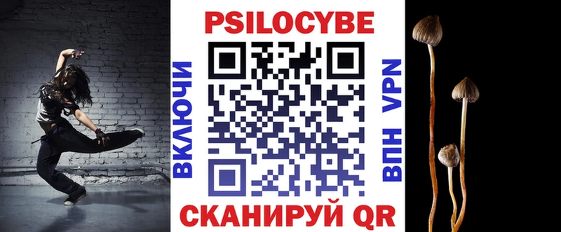 МЕГА как зайти  Вилючинск  Галлюциногенные грибы ЛСД 